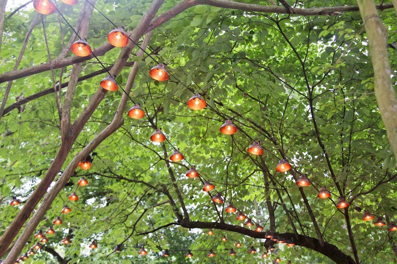 Bama Bed And Breakfast - Chimes Suite Tuscaloosa Exterior foto